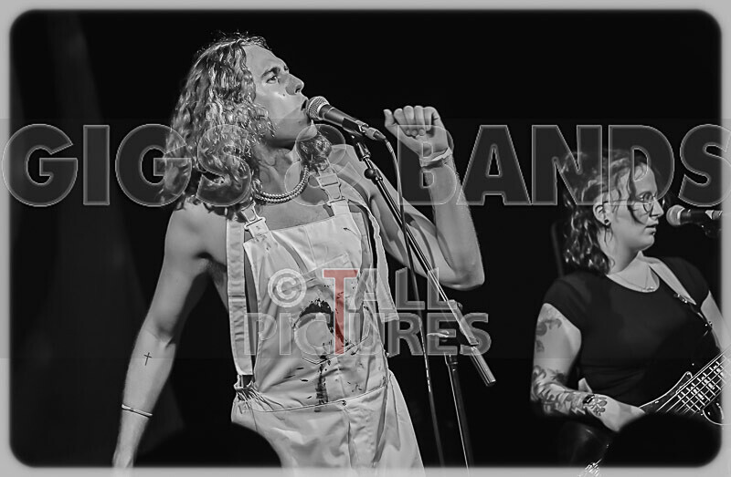 The Pips-37 - THE PIPS