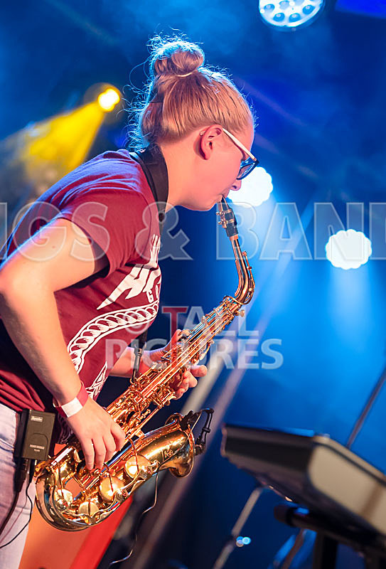 Honest Crooks-214 - HONEST CROOKS