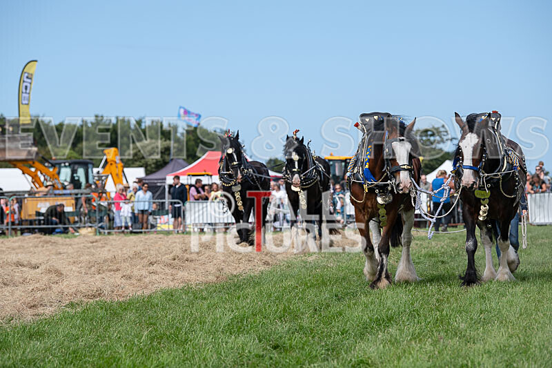 Guernsey Agricultural Show 2021-164 - GUERNSEY AGRICULTURAL SHOW 2021