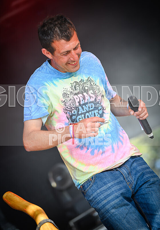 Buffalo Hudleston-752 - BUFFALO HUDLESTON