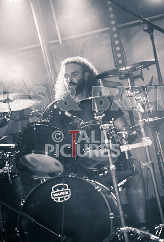 Demise of Sanity-161 - DEMISE OF SANITY