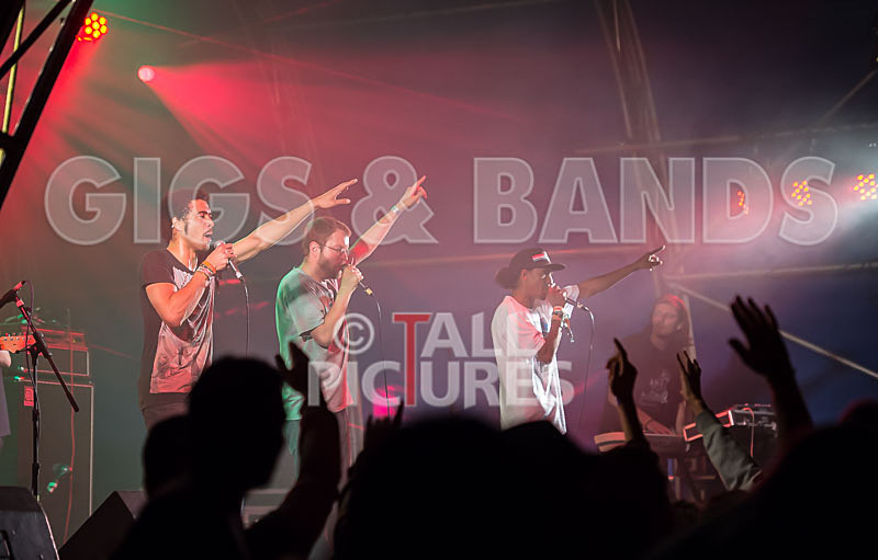 The Mouse Outfit-26 - THE MOUSE OUTFIT