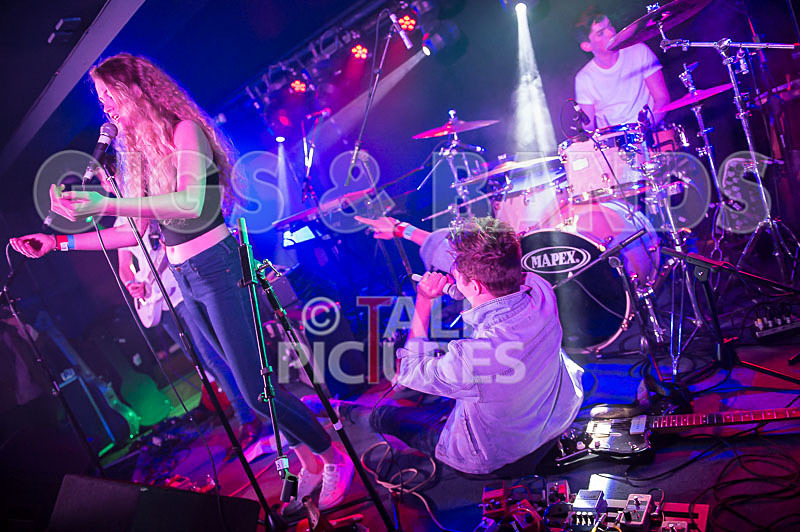 Francisco-54 - FRANCISCO