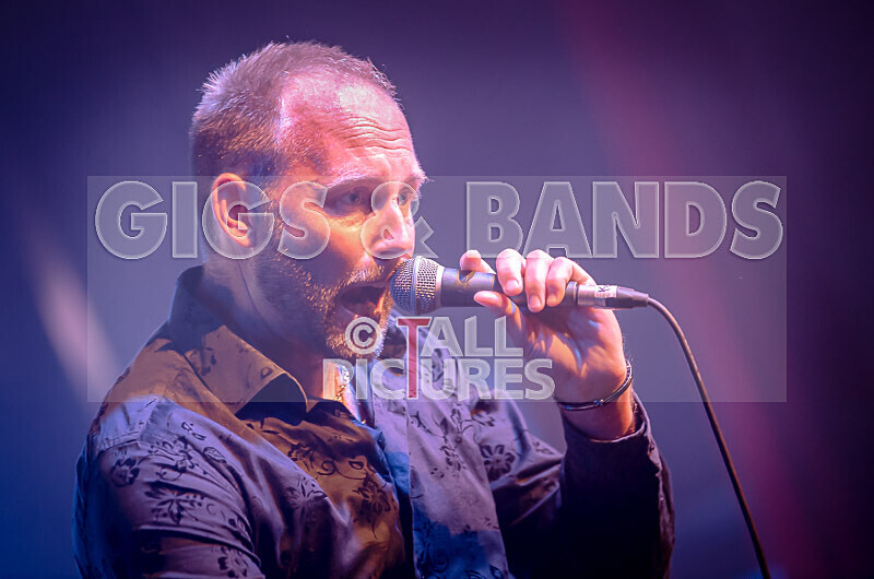 Guernsey Post 2022-50 - GUERNSEY POST