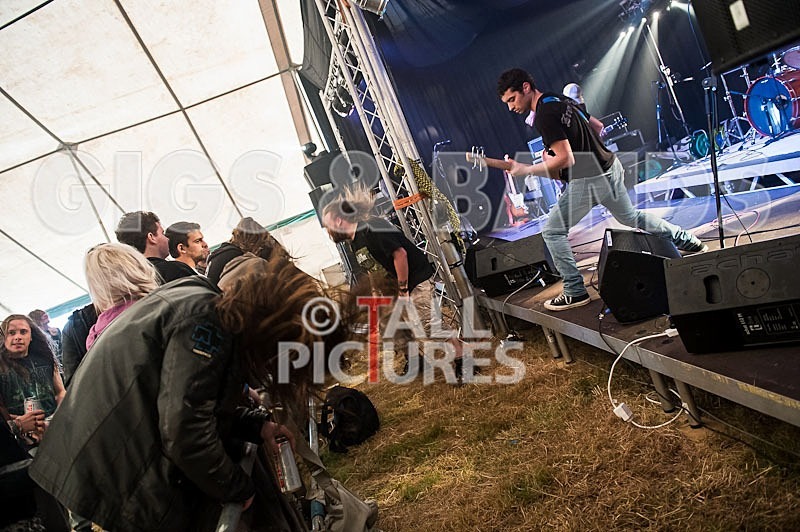 Stone Em All-12 - STONE EM ALL