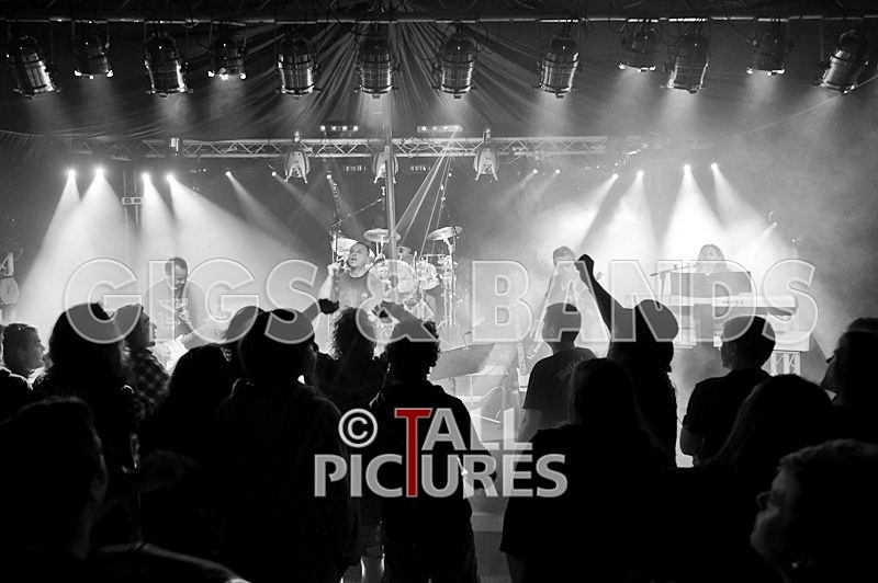 Elysium-130 - ELYSIUM