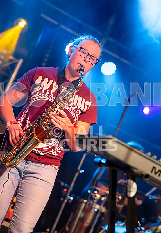 Honest Crooks-208 - HONEST CROOKS