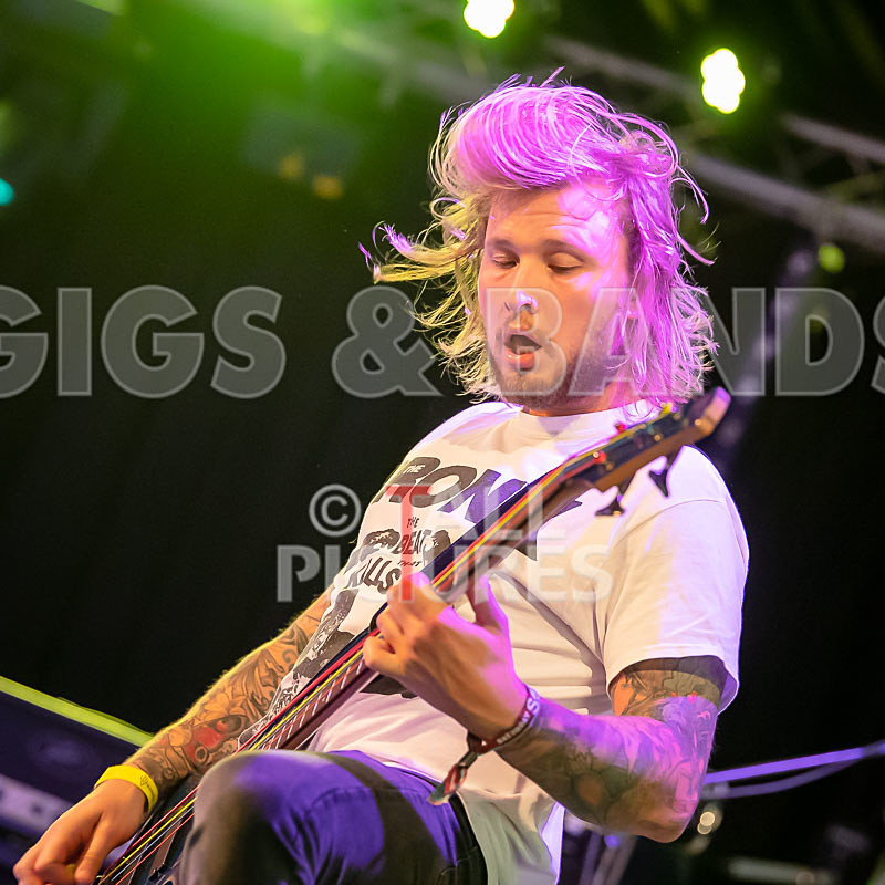 Granite Wolf-67 - GRANITE WOLF