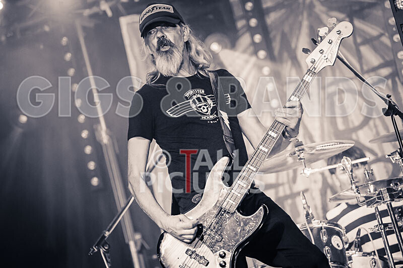 The Electric Shakes-189 - THE ELECTRIC SHAKES