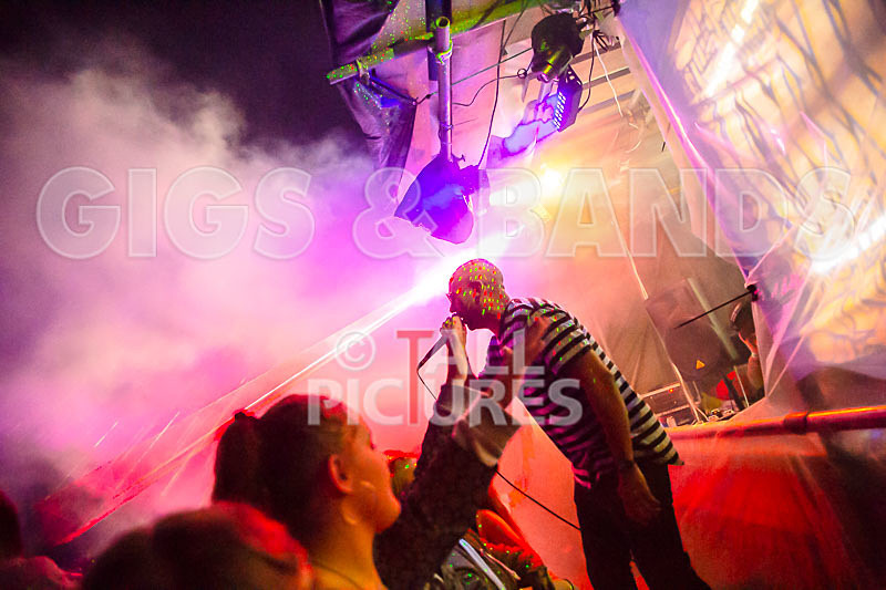 Vale Earth Fair 2018_SCENE-8 - VALE EARTH FAIR 2018_THE SCENE