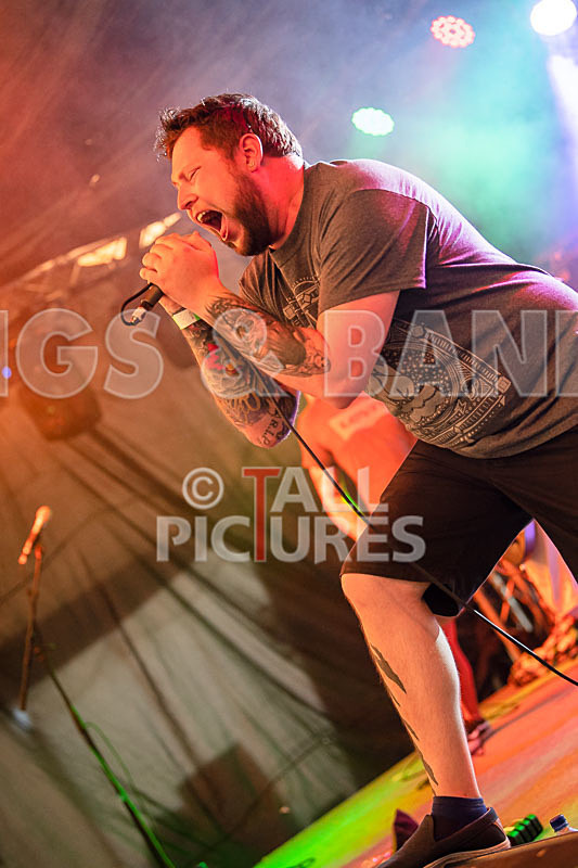 Granite Wolf-25 - GRANITE WOLF