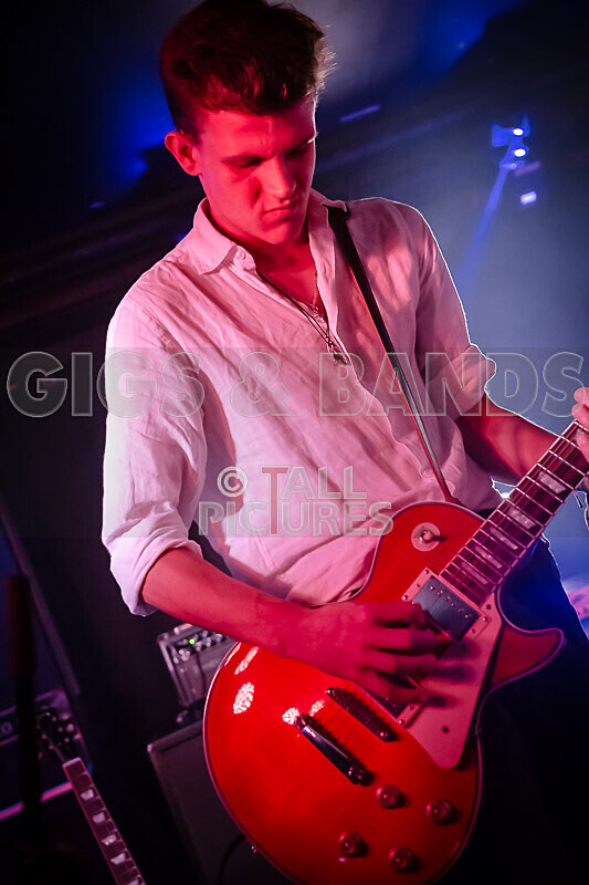 Black Dog-11 - BLACK DOG