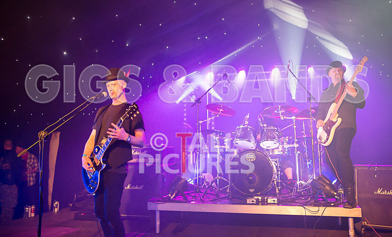 Peppered Ant Legs-183 - PEPPERED ANT LEGS