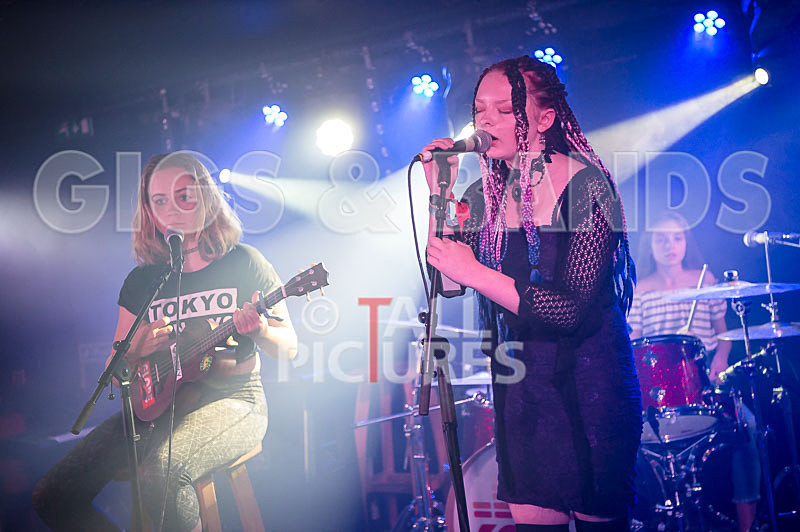 Avacado Geff-12 - AVACADO GEFF