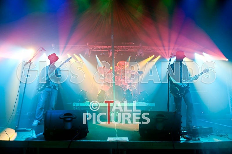 Peppered Ant Legs-50 - PEPPERED ANT LEGS