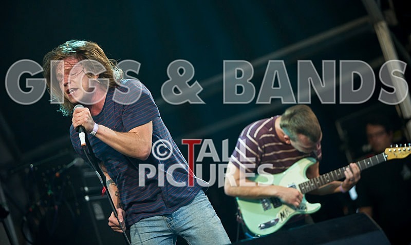 Cage the Elephant-59 - CAGE THE ELEPHANT