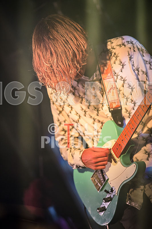 Surfin Birds-30 - SURFIN' BIRDS