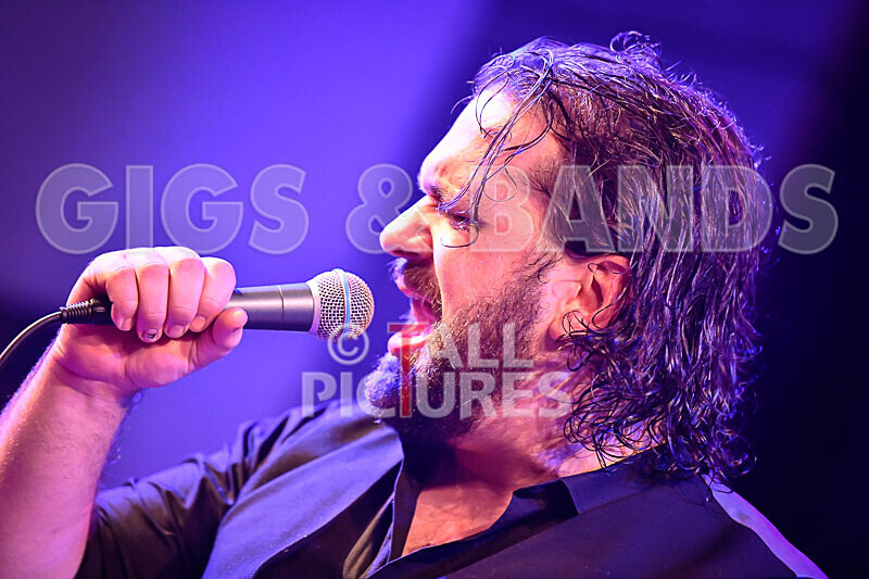 Michael Sullivan-5 - THE GUESTS