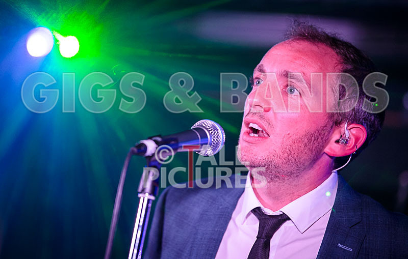 The Erawigs-45 - THE ERAWIGS