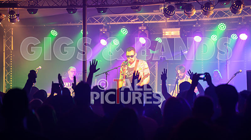 Honest Crooks-222 - HONEST CROOKS