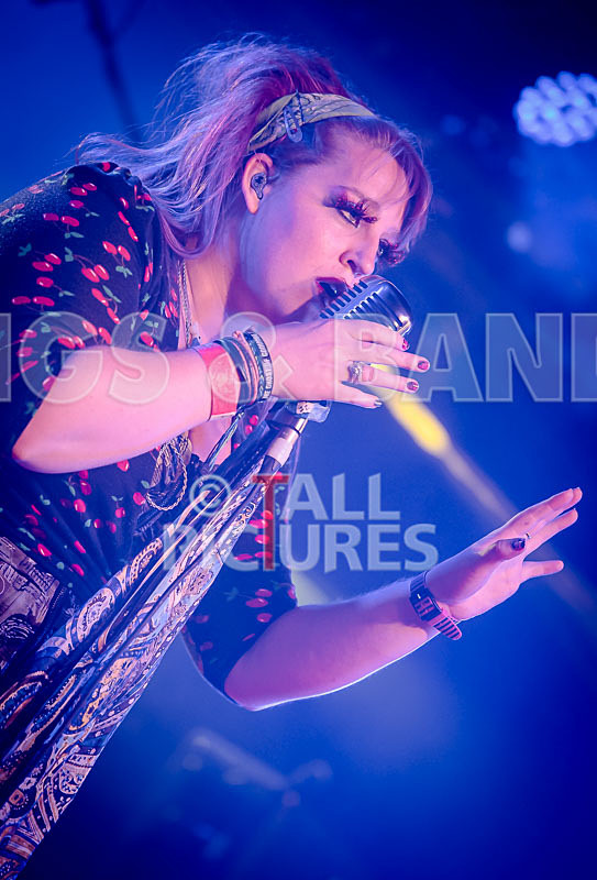 Static Alice-458 - STATIC ALICE