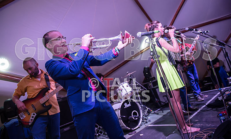 Molotov Jukebox-20 - MOLOTOV JUKEBOX