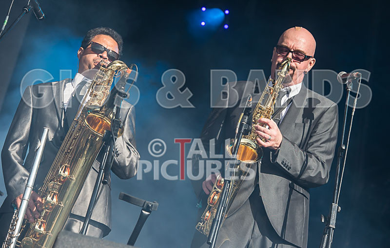 The Selecter-27 - THE SELECTER