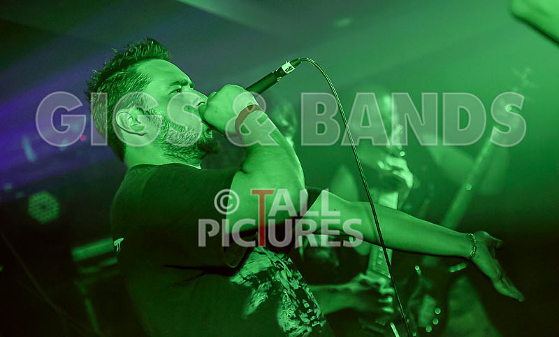 Masticated-40 - MASTICATED