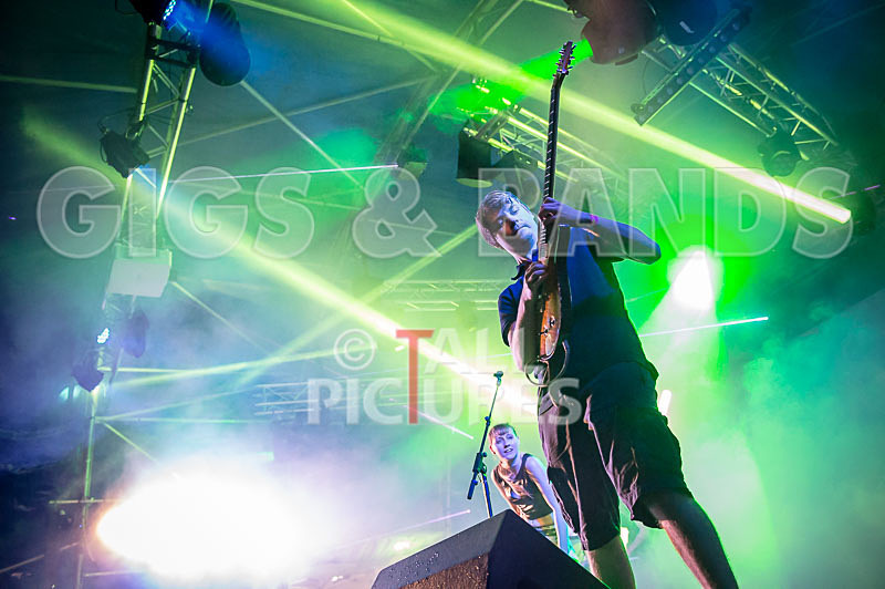 FireFarm-18 - FIREFARM