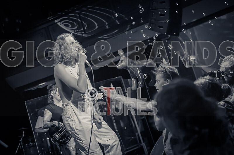 The Pips-10 - THE PIPS