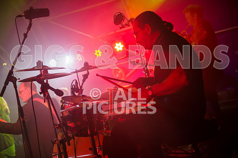 King Rat and the Soul Cats-198 - KING RAT AND THE SOUL CATS