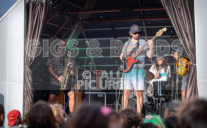 Pam Bindi-9 - PAM BINDI