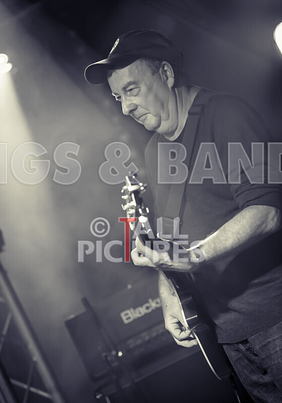 The Vinyls-17 - THE VINYLS