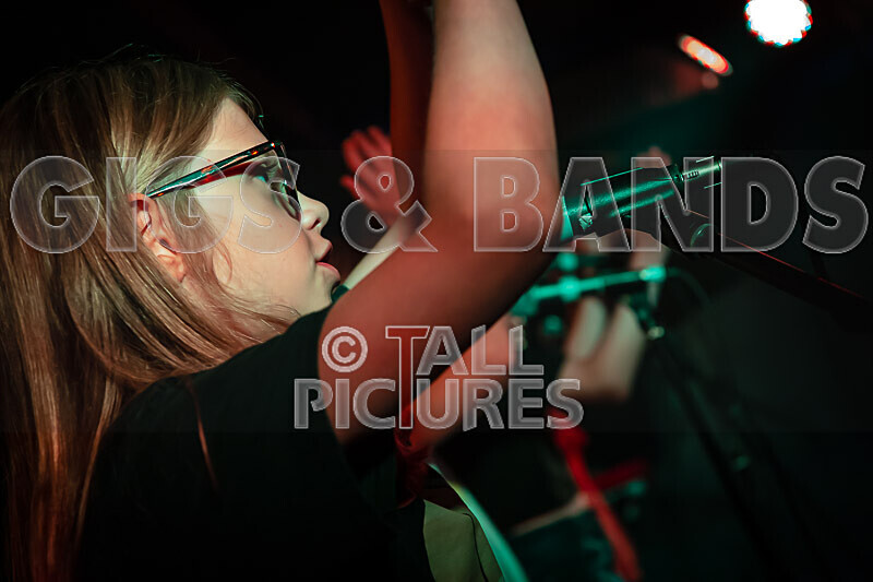 The Diehearts-25 - THE DIEHEARTS