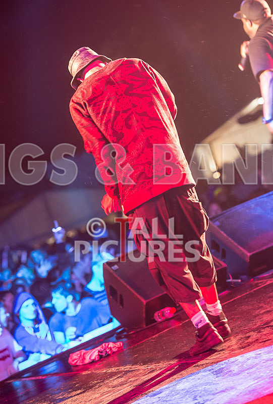 Jungle Brothers-6 - JUNGLE BROTHERS