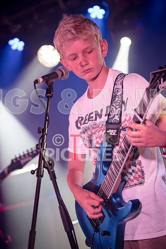 The Lemmings-15 - THE LEMMINGS