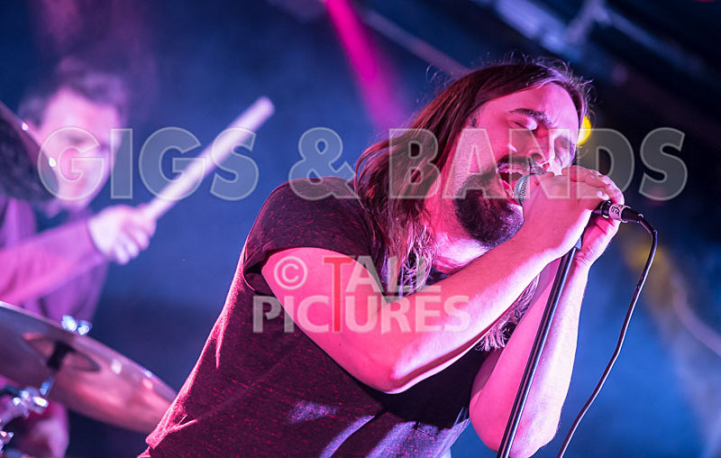 Stuck to the Ceiling-1 - STUCK TO THE CEILING