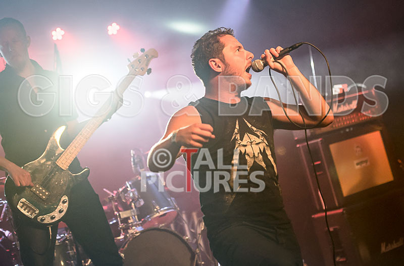 FlashMob-175 - FLASHMOB