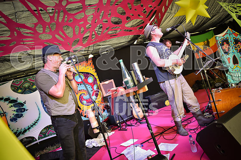 Seigneur Hedge Veg-8 - SEIGNEUR HEG VEG