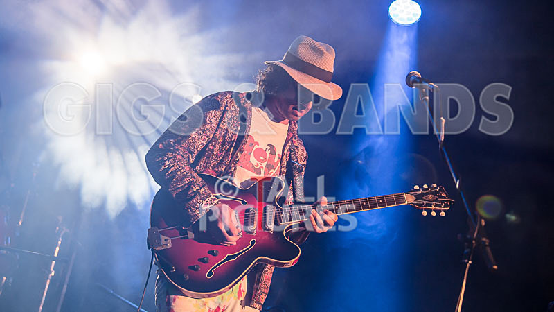 Surfin Birds-9 - SURFIN' BIRDS