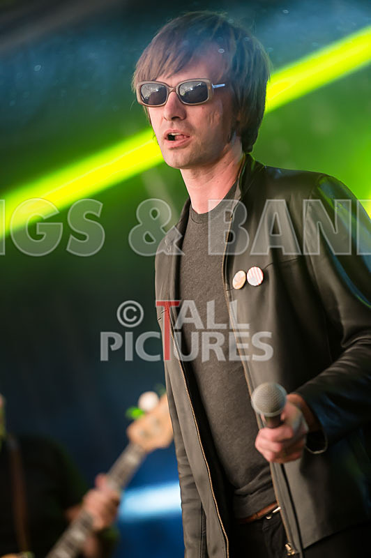 The Cryptics-55 - THE CRYPTICS