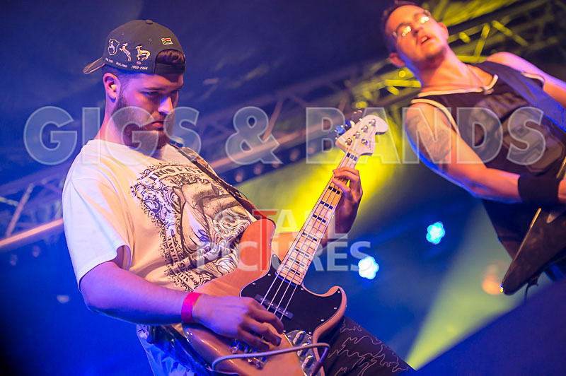 Demise of Sanity-124 - DEMISE OF SANITY