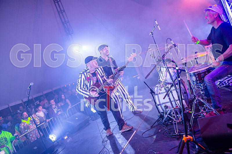 The Smooth Hounds-19 - THE SMOOTH HOUNDS