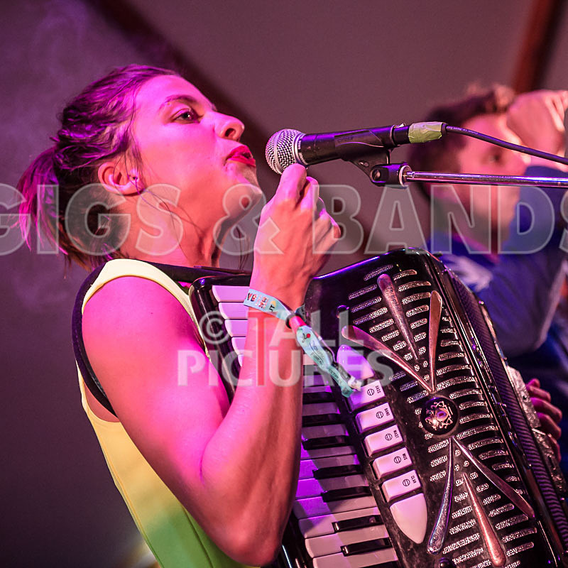 Molotov Jukebox-21 - MOLOTOV JUKEBOX