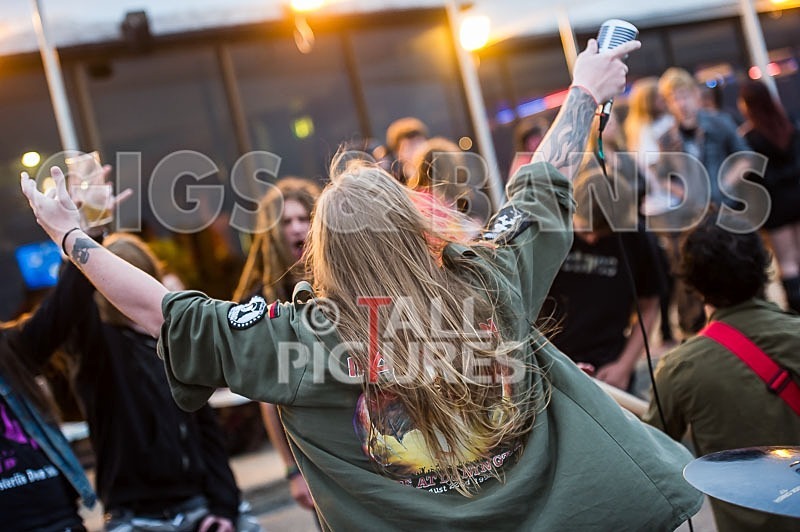 Stone Em All-128 - STONE EM ALL