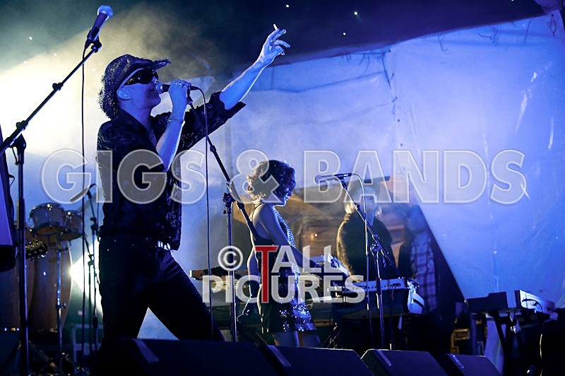 Vale-Earth-95 - VALE EARTH FAIR 2008