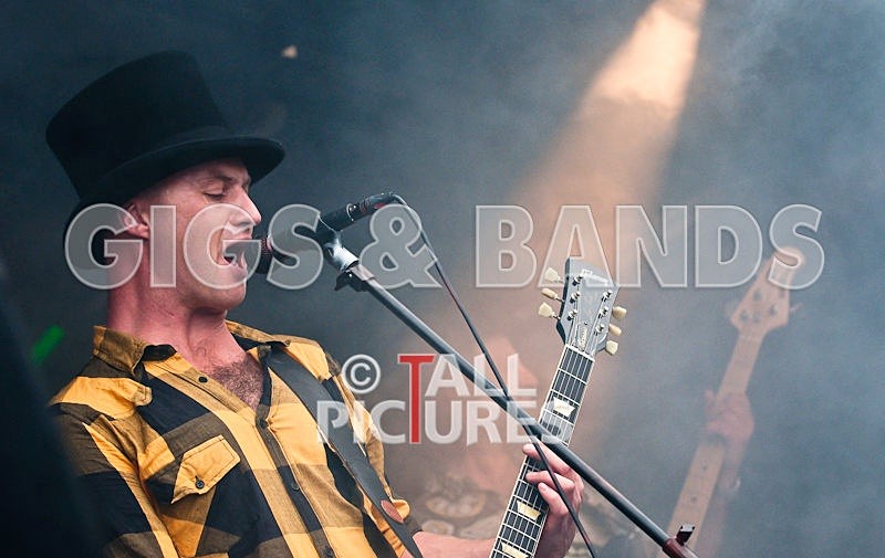 Peppered Ant Legs-44-0001 - VALE EARTH FAIR 2009