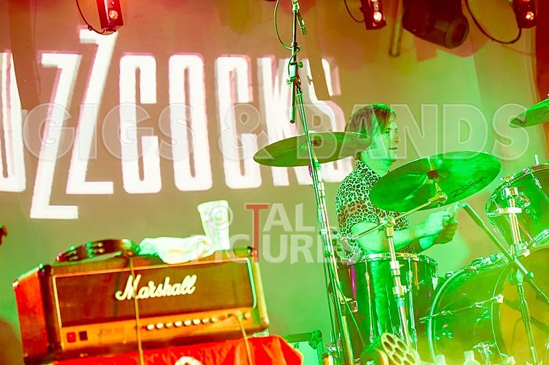 The Buzzcocks-36 - BUZZCOCKS