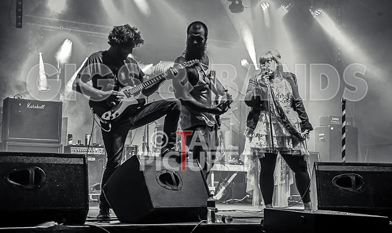 Static Alice-501 - STATIC ALICE