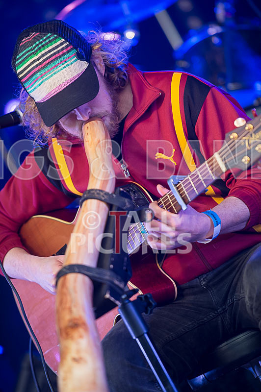 Buffalo Huddleston-302 - BUFFALO HUDDLESTON